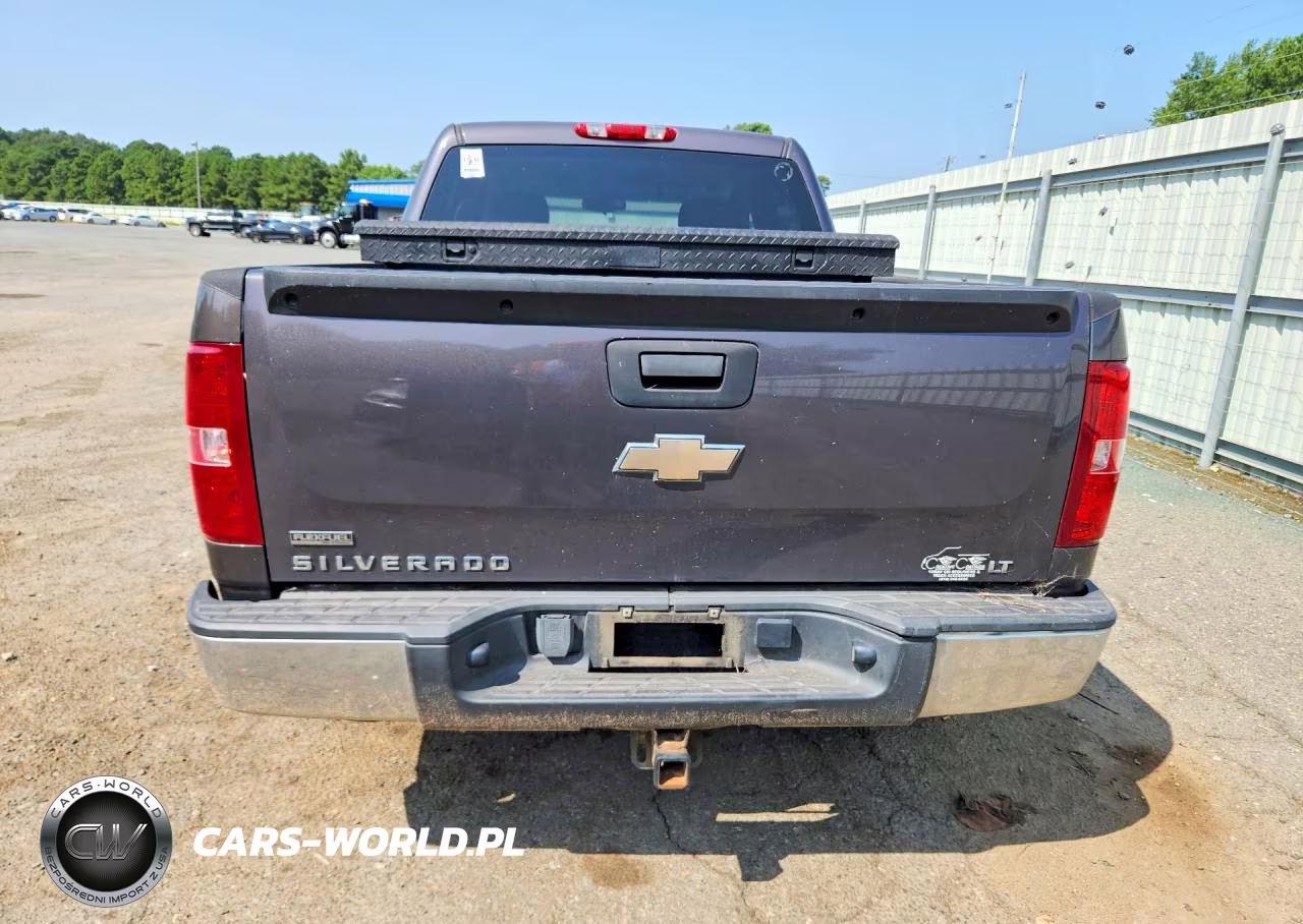 2010 Chevrolet Silverado C1500 Lt VIN:3GCRCSE09AG149040 - 6