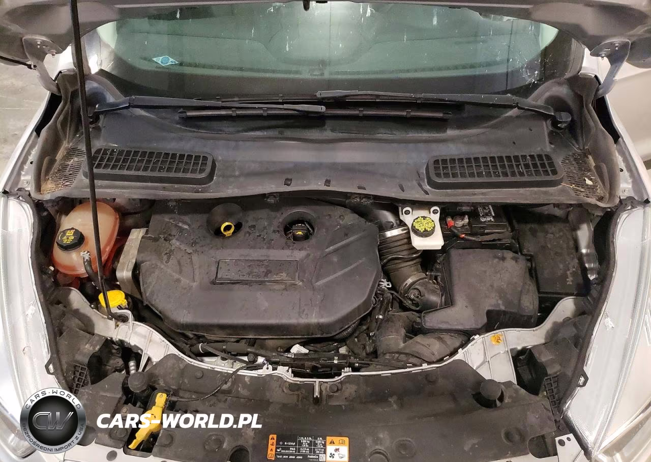 2017 Ford Escape Se VIN:1FMCU9G97HUB68003 - 12