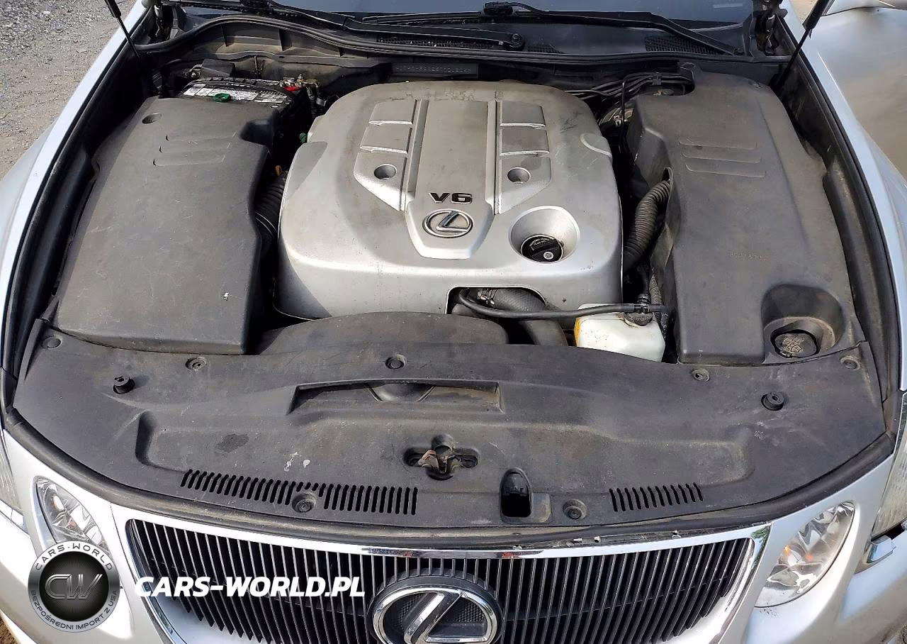 2006 Lexus Gs 300 VIN:JTHCH96S260001502 - 11