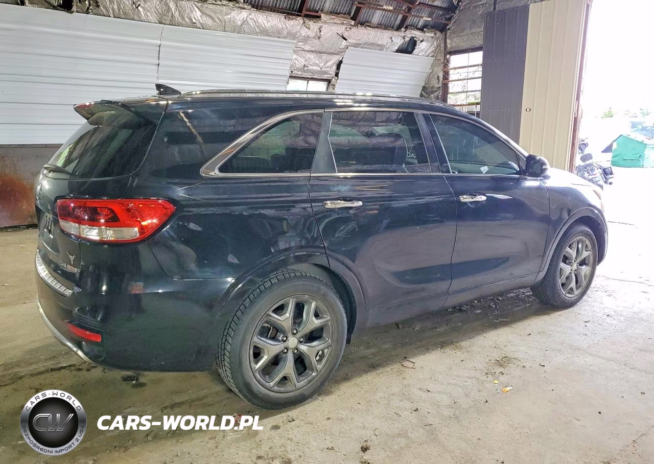 2016 Kia Sorento Sx Limited VIN:5XYPK4A10GG108534 - 3