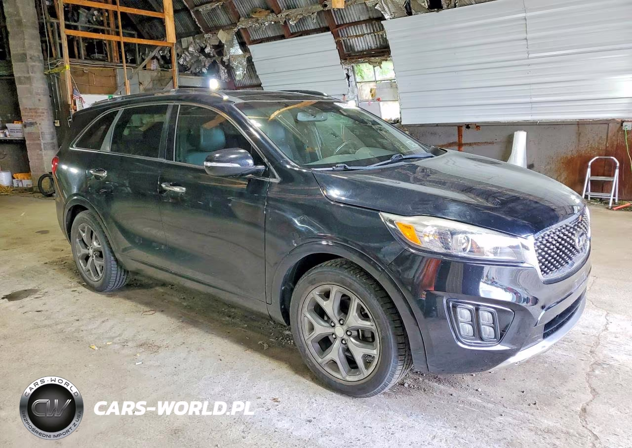 2016 Kia Sorento Sx Limited VIN:5XYPK4A10GG108534 - 4