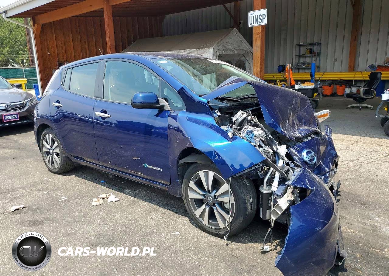 2016 Nissan Leaf S-30 VIN:1N4BZ0CP3GC310116 - 4