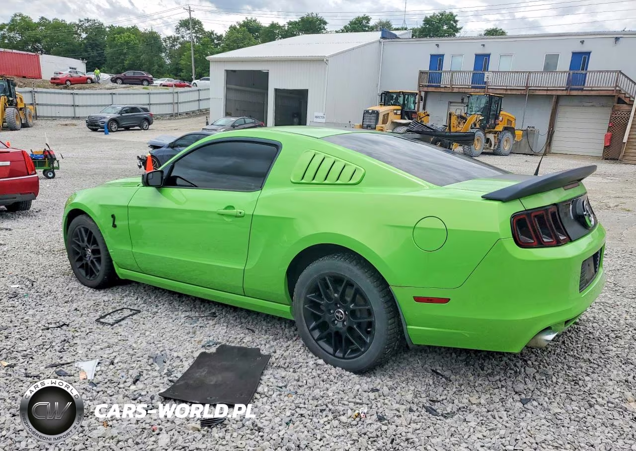 2014 Ford Mustang VIN:1ZVBP8AM7E5255367 - 2