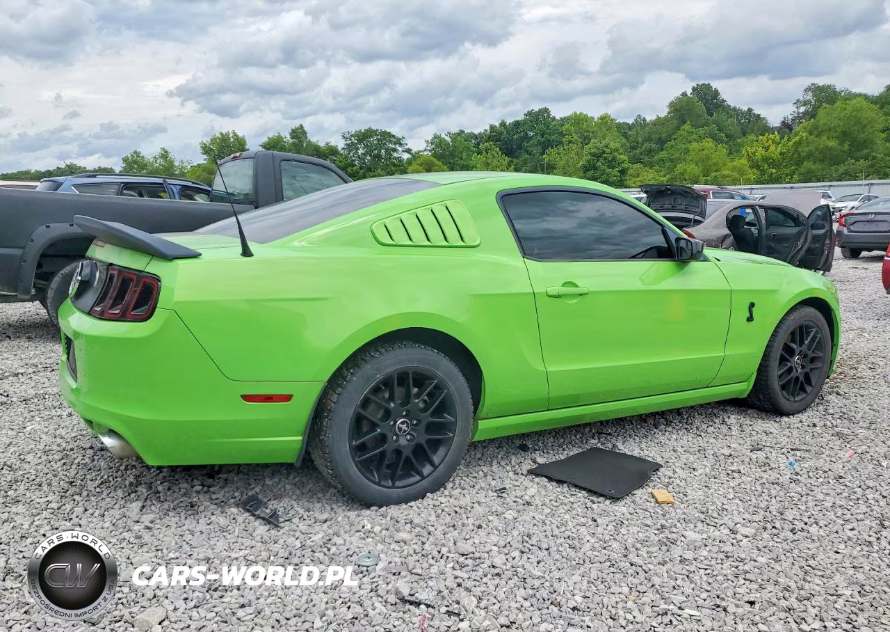 2014 Ford Mustang VIN:1ZVBP8AM7E5255367 - 3