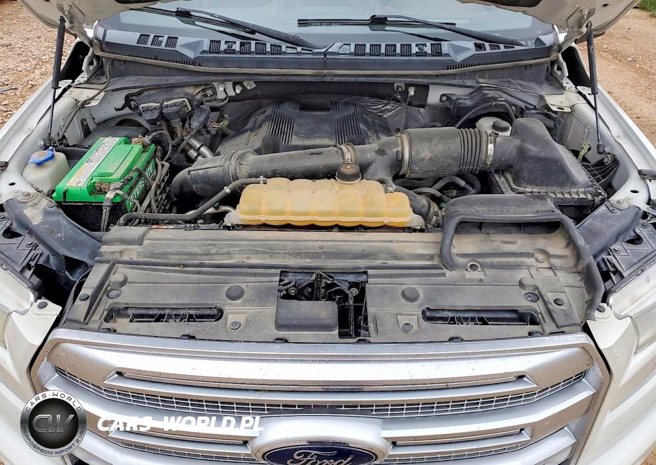 2017 Ford F150 Supercrew VIN:1FTFW1EG2HFA47608 - 11