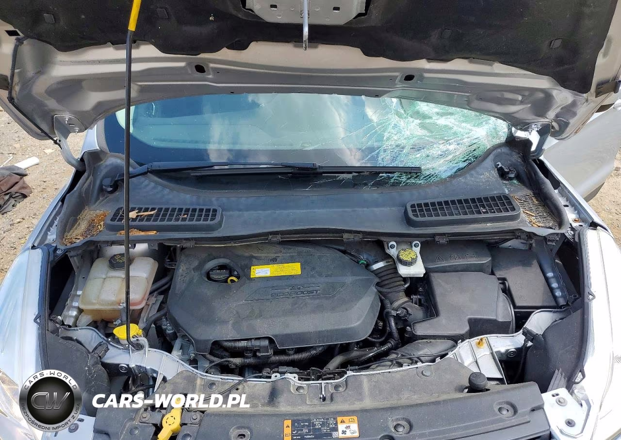 2016 Ford Escape Se VIN:1FMCU9GX7GUB92427 - 12
