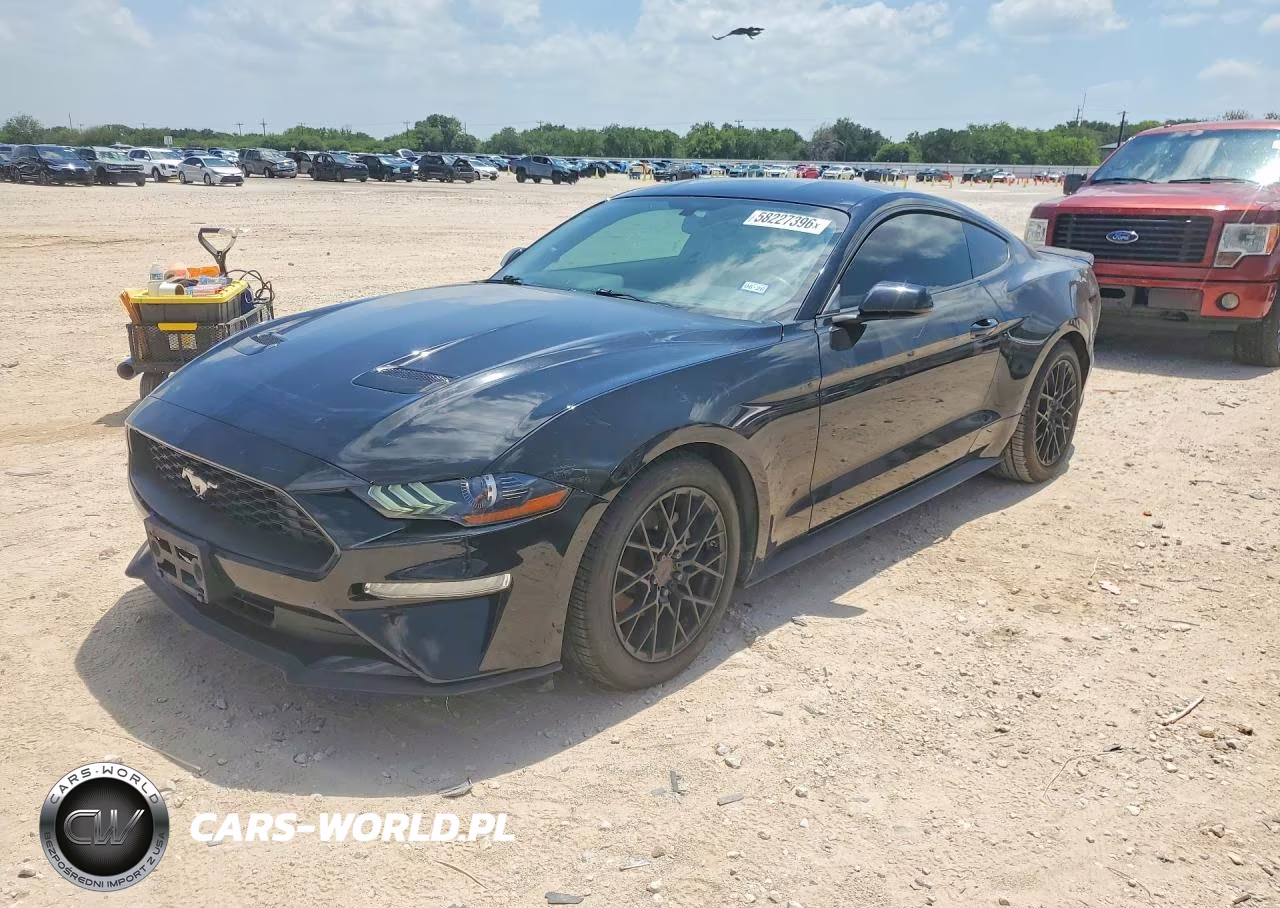 2019 Ford Mustang