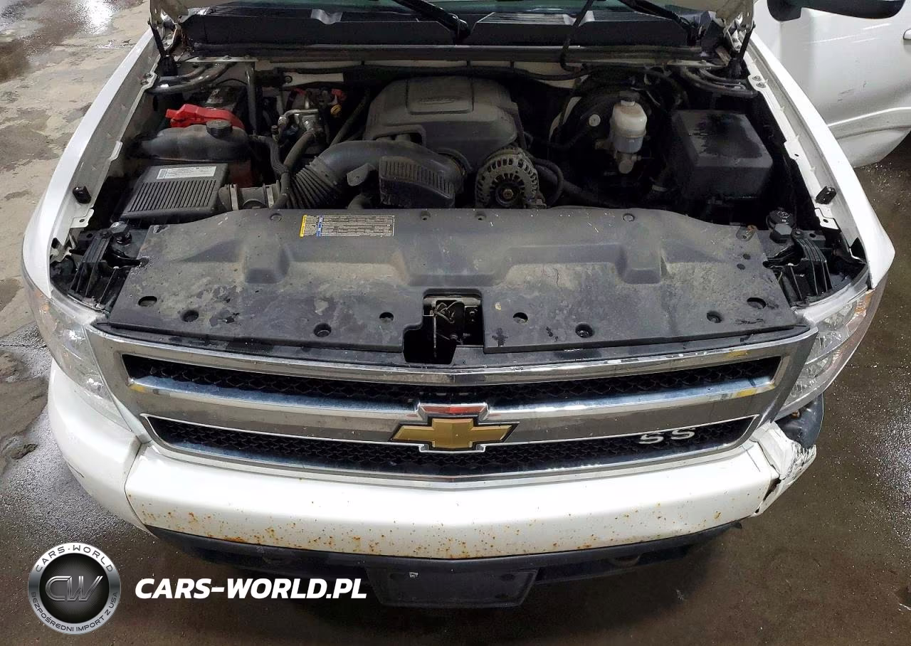 2008 Chevrolet Silverado K1500 VIN:1GCEK19J48Z293278 - 11