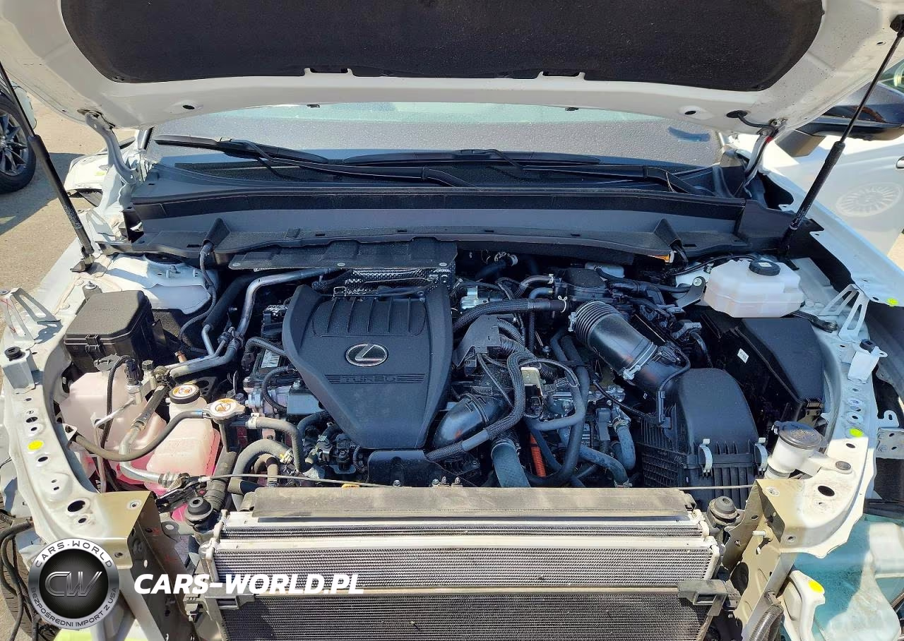 2025 Lexus Tx 500H F Sport Performance Premium VIN:5TDABAB64SS007412 - 12