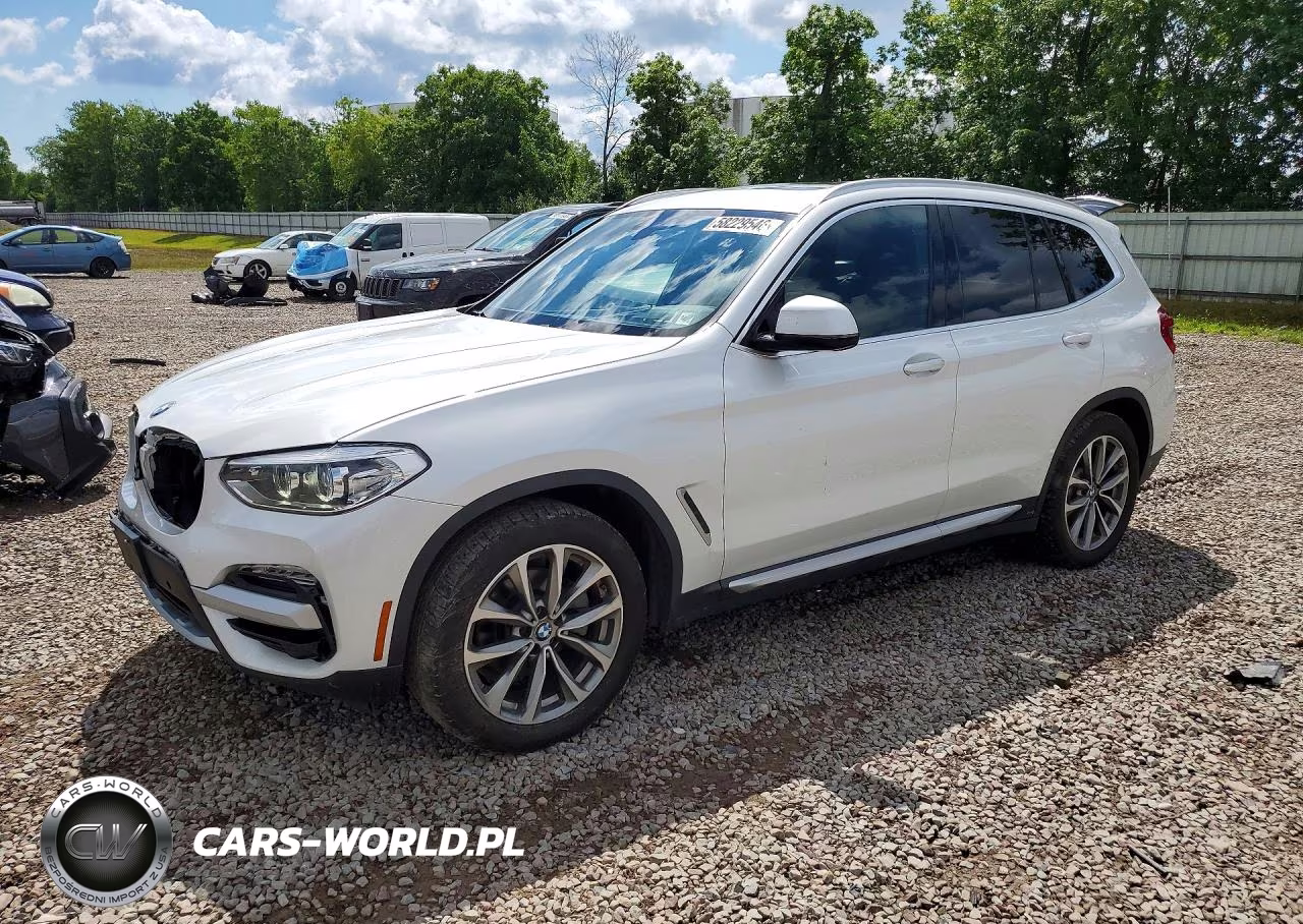 2019 BMW X3 xDrive30I – zdjęcie 1 z 13