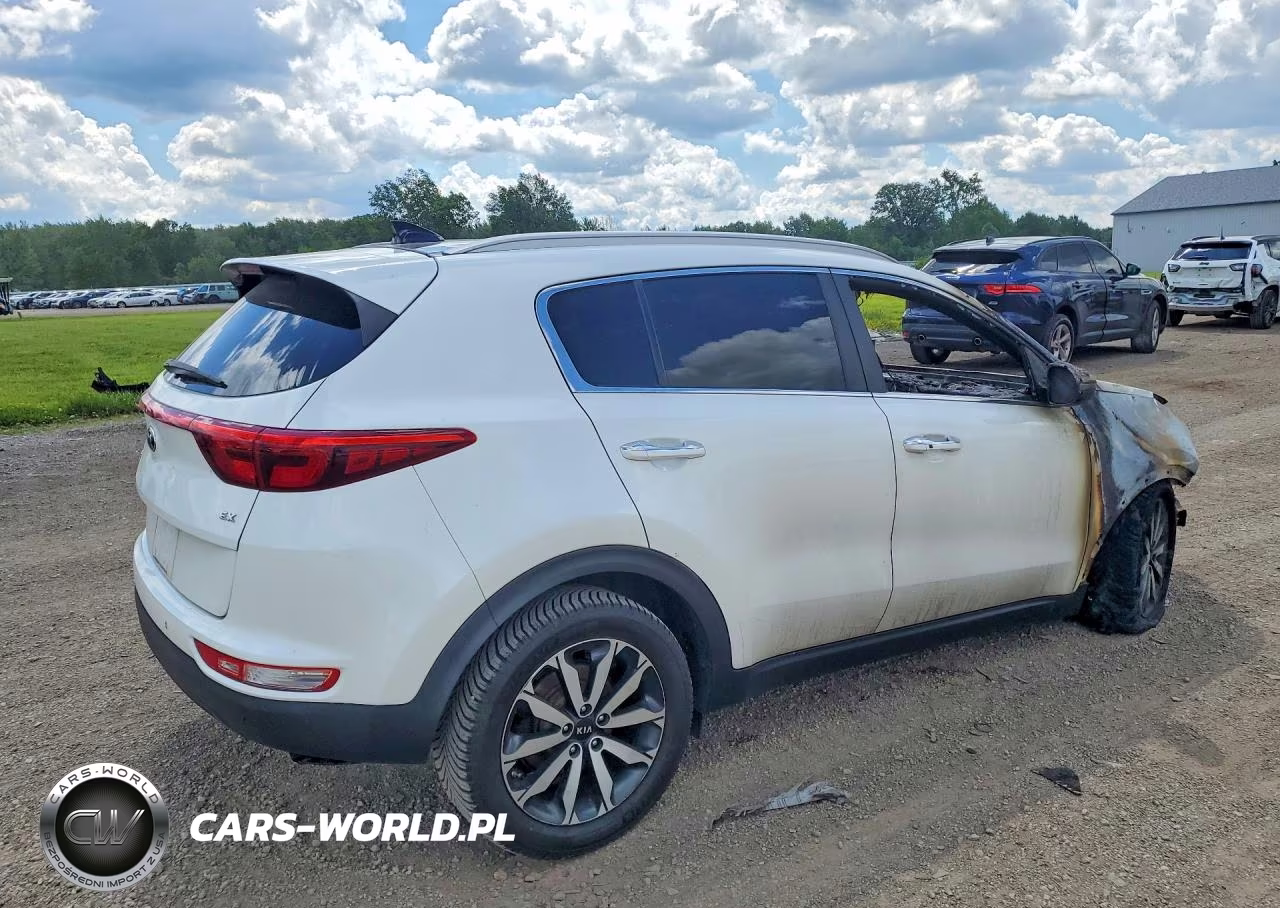 2017 Kia Sportage Ex VIN:KNDPNCAC1H7256936 - 3