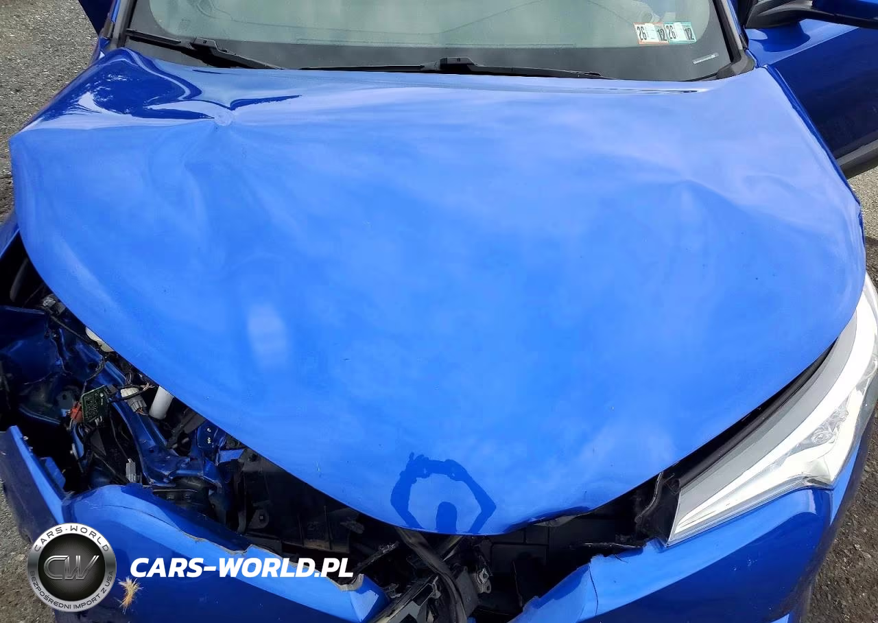 2019 Toyota C-Hr Xle VIN:NMTKHMBX4KR095180 - 12