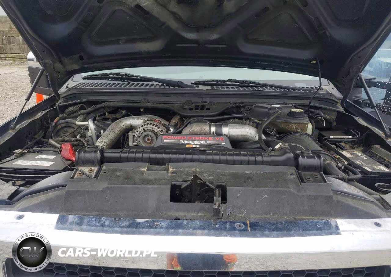 2005 Ford F250 Super Duty VIN:1FTSW21P05EA43911 - 11