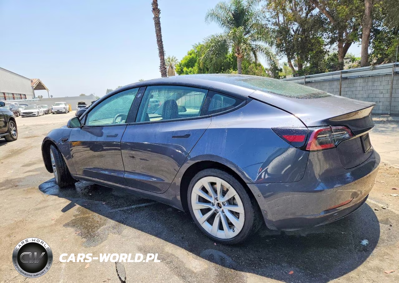 2022 Tesla Model 3 VIN:5YJ3E1EA2NF187126 - 2