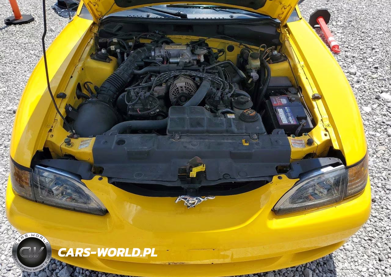 1998 Ford Mustang Gt VIN:1FAFP45X5WF195544 - 11