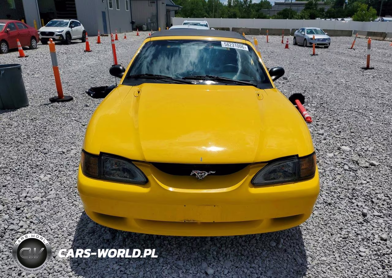 1998 Ford Mustang Gt VIN:1FAFP45X5WF195544 - 5