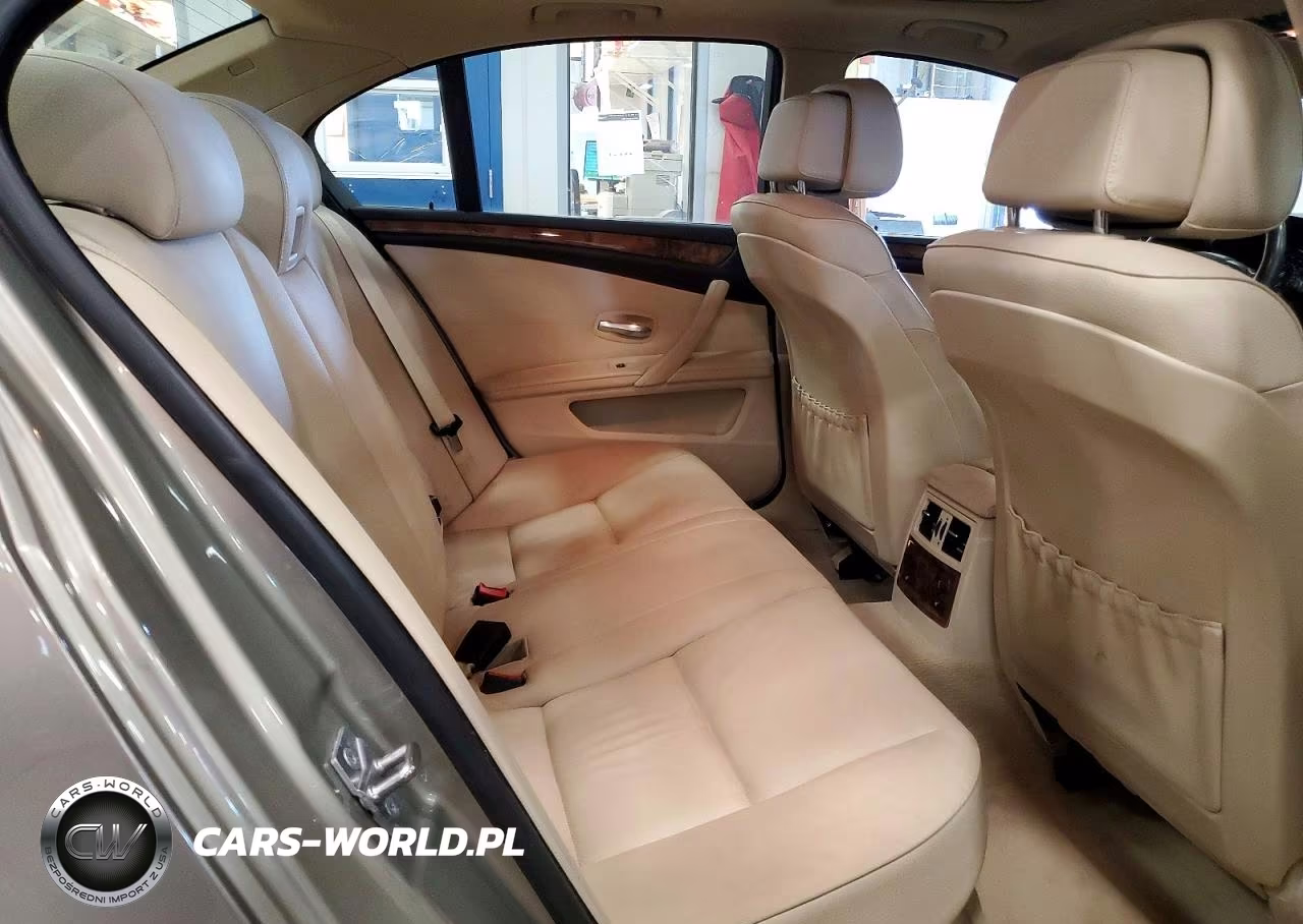 2010 BMW 528 Xi VIN:WBANV1C51AC159983 - 10