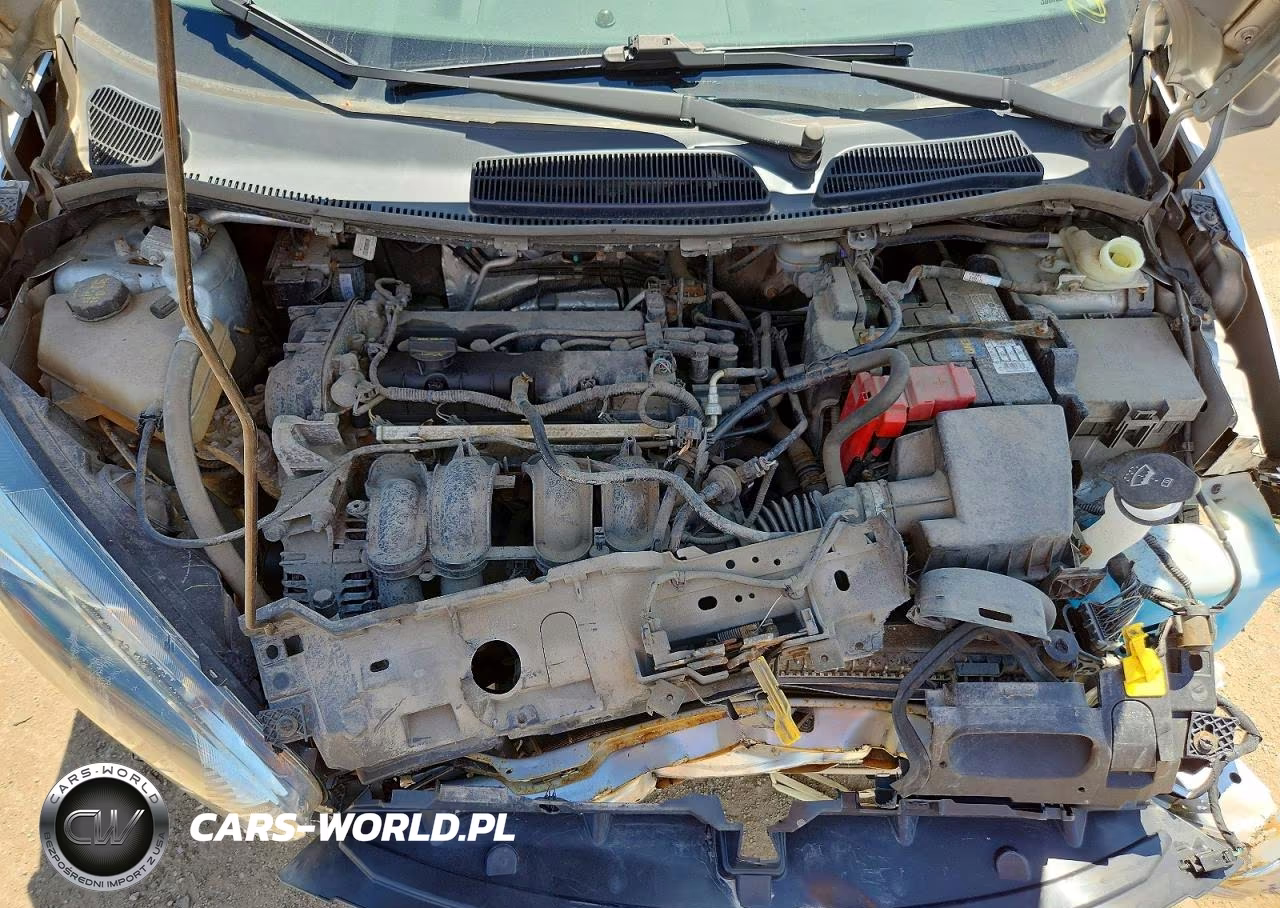 2014 Ford Fiesta Se VIN:3FADP4BJ9EM189669 - 11