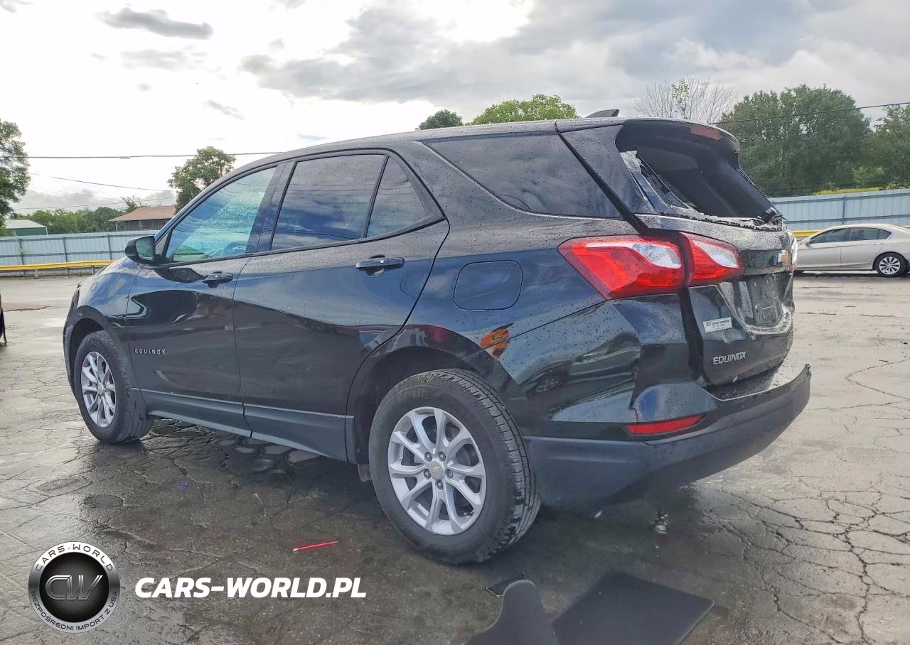 2019 Chevrolet Equinox Ls VIN:2GNAXHEV0K6121065 - 2