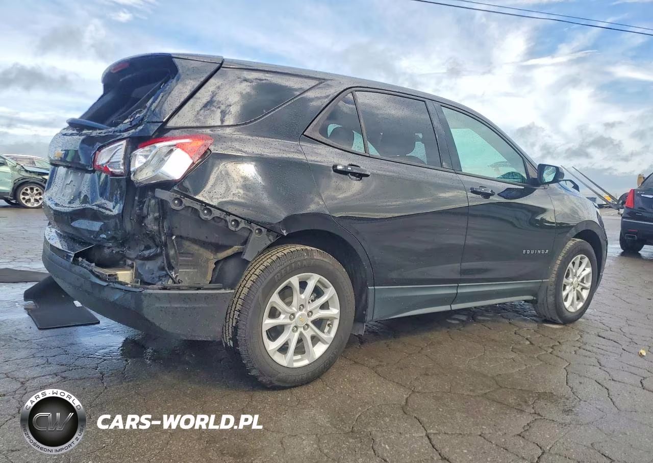 2019 Chevrolet Equinox Ls VIN:2GNAXHEV0K6121065 - 3