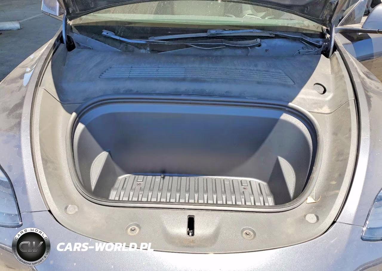 2023 Tesla Model Y VIN:7SAYGDEE2PF625377 - 11