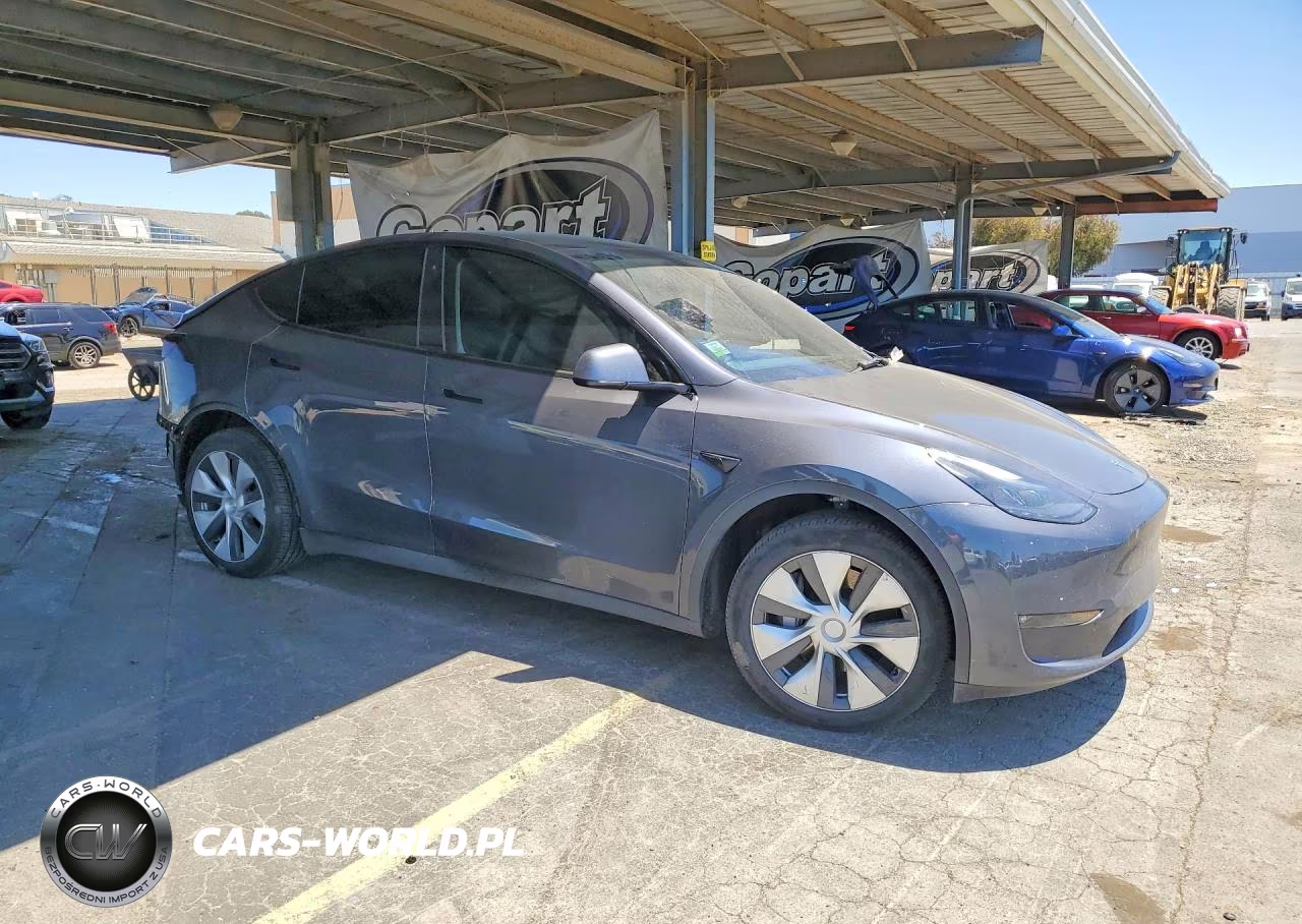 2023 Tesla Model Y VIN:7SAYGDEE2PF625377 - 4