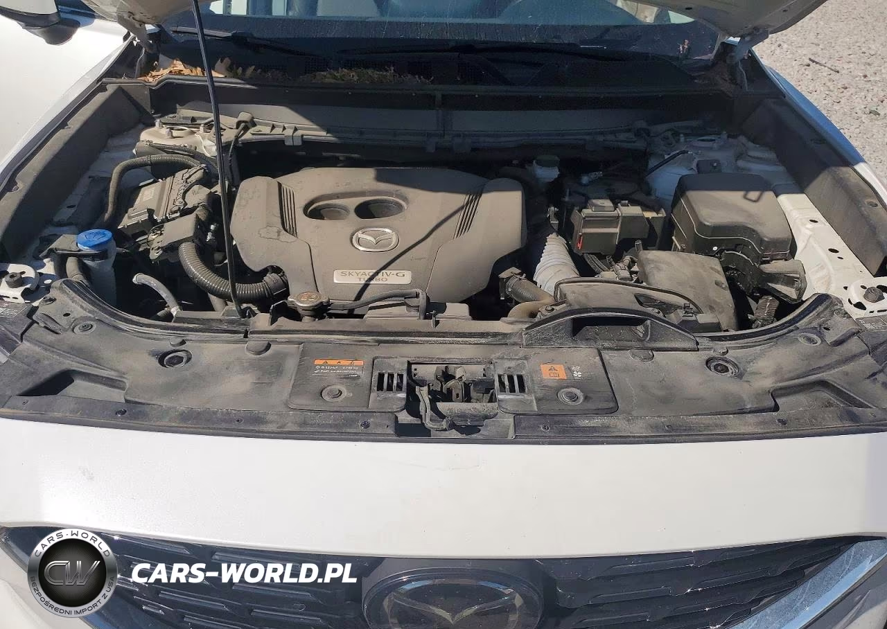 2022 Mazda Cx-9 Touring Plus VIN:JM3TCBAY1N0623646 - 12