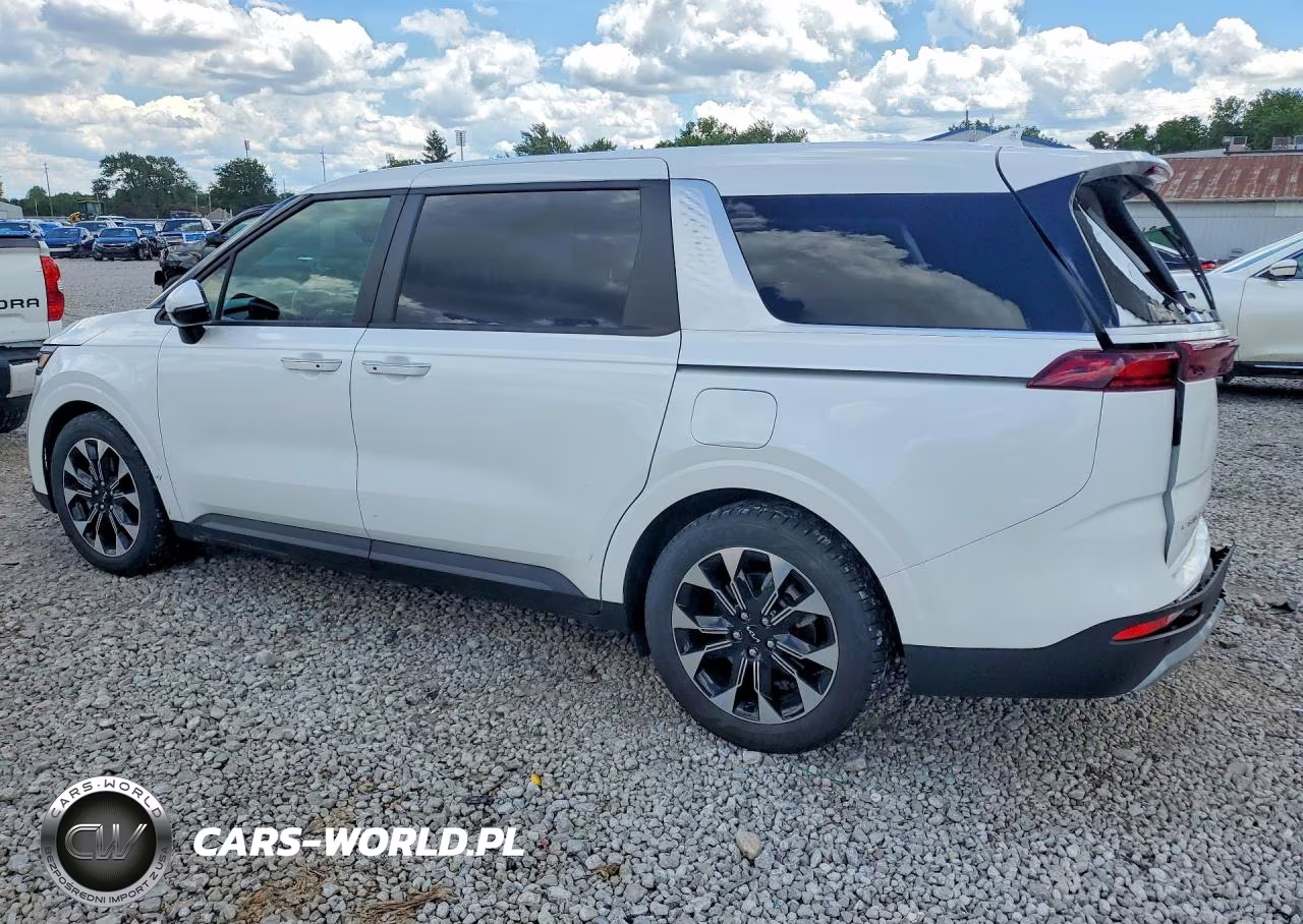 2024 Kia Carnival Ex VIN:KNDNC5H32R6391302 - 2