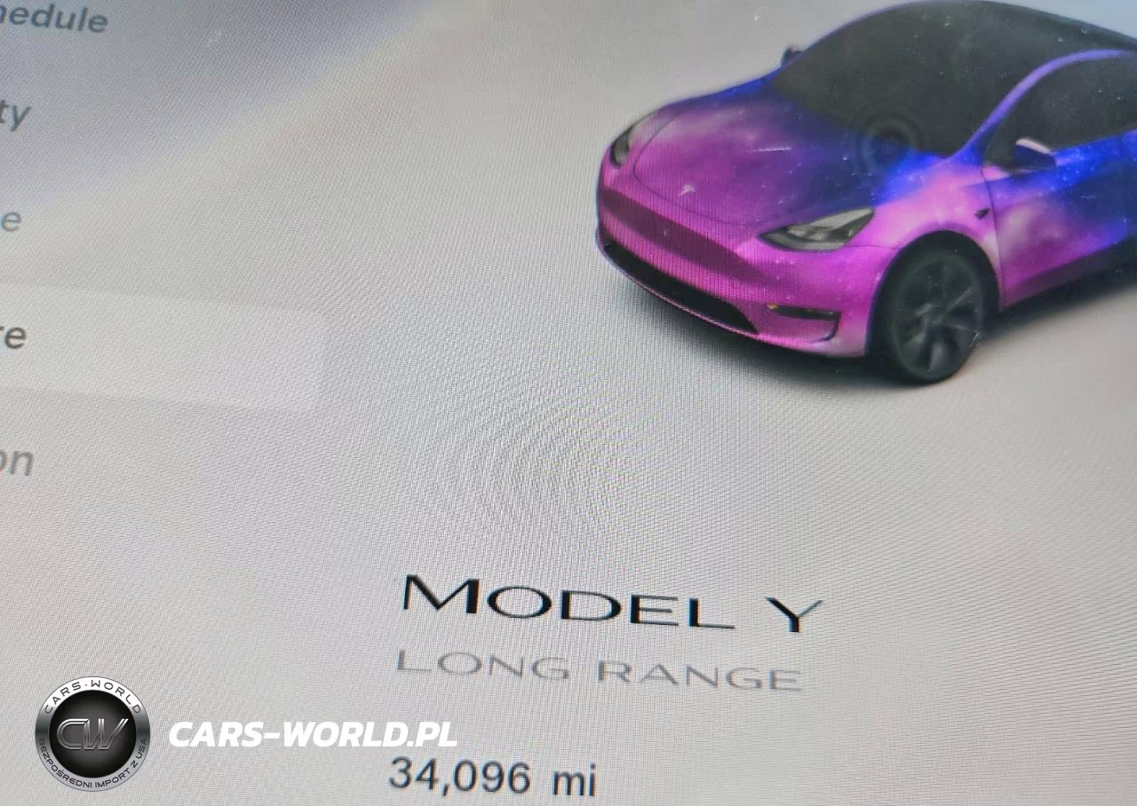 2024 Tesla Model Y VIN:7SAYGDED6RF109288 - 9