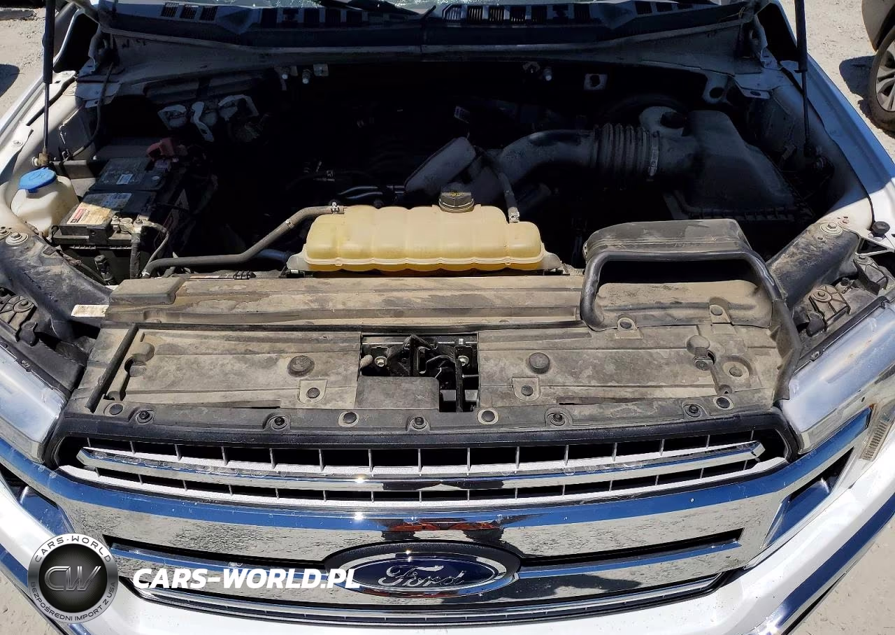 2019 Ford F150 VIN:1FTEW1C53KKE50542 - 11