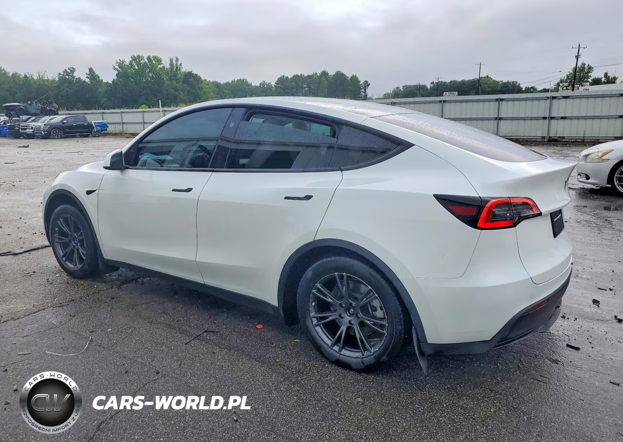 2025 Tesla Model Y VIN:7SAYGDED1SA345656 - 2