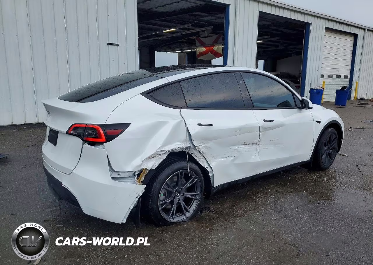 2025 Tesla Model Y VIN:7SAYGDED1SA345656 - 3