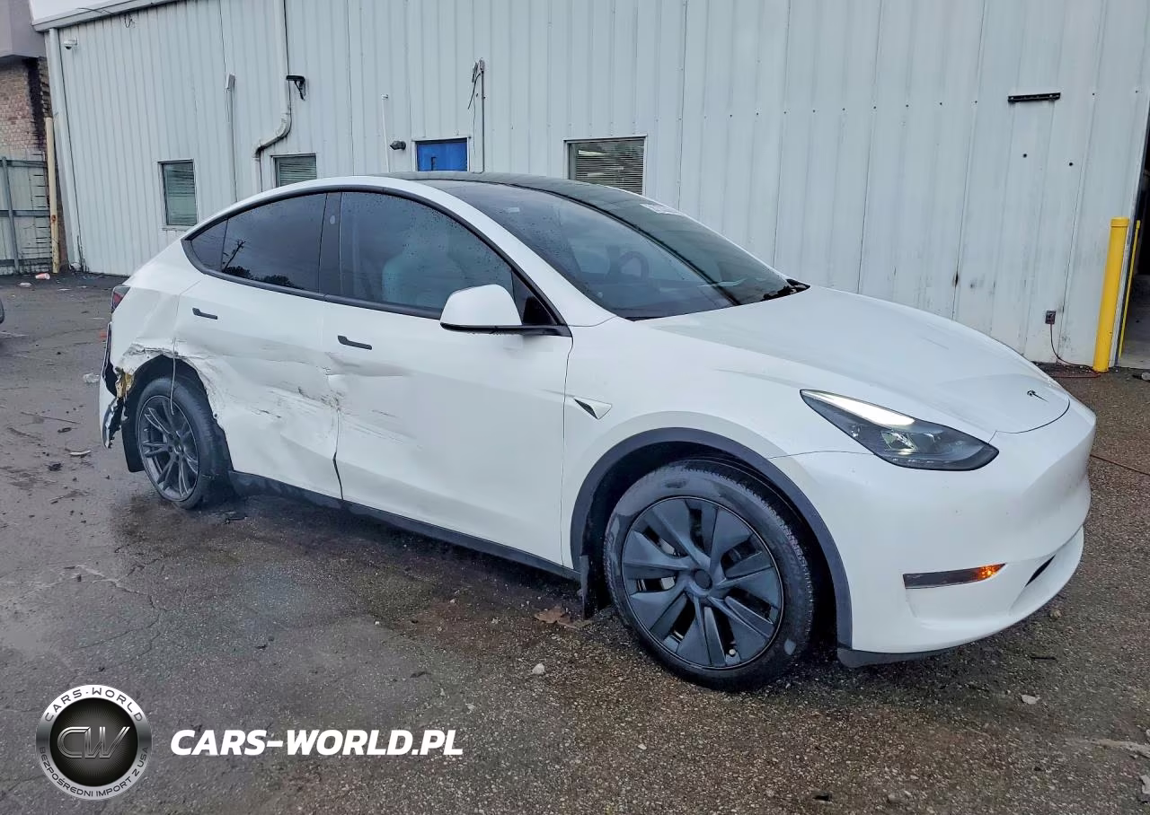 2025 Tesla Model Y VIN:7SAYGDED1SA345656 - 4