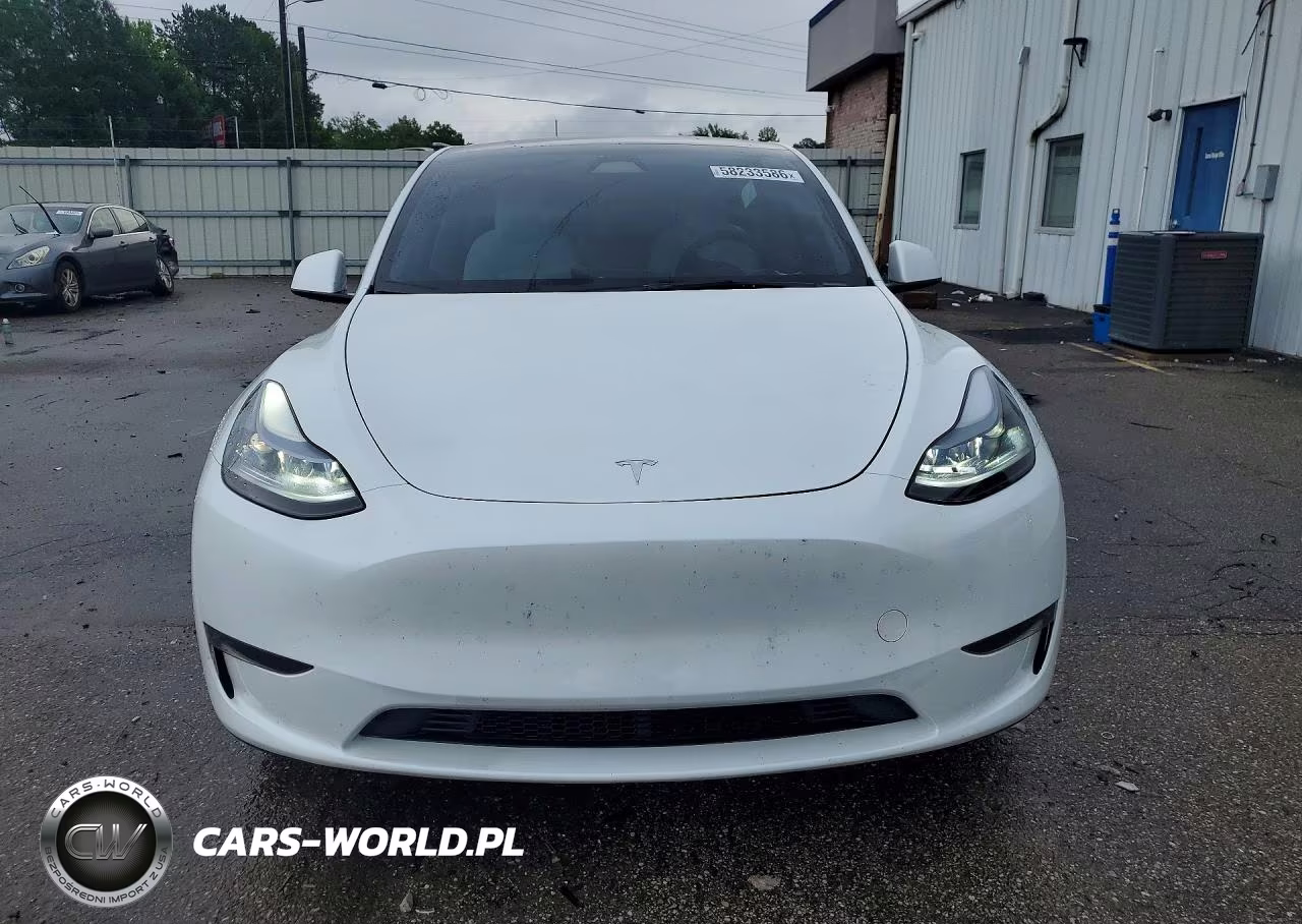 2025 Tesla Model Y VIN:7SAYGDED1SA345656 - 5