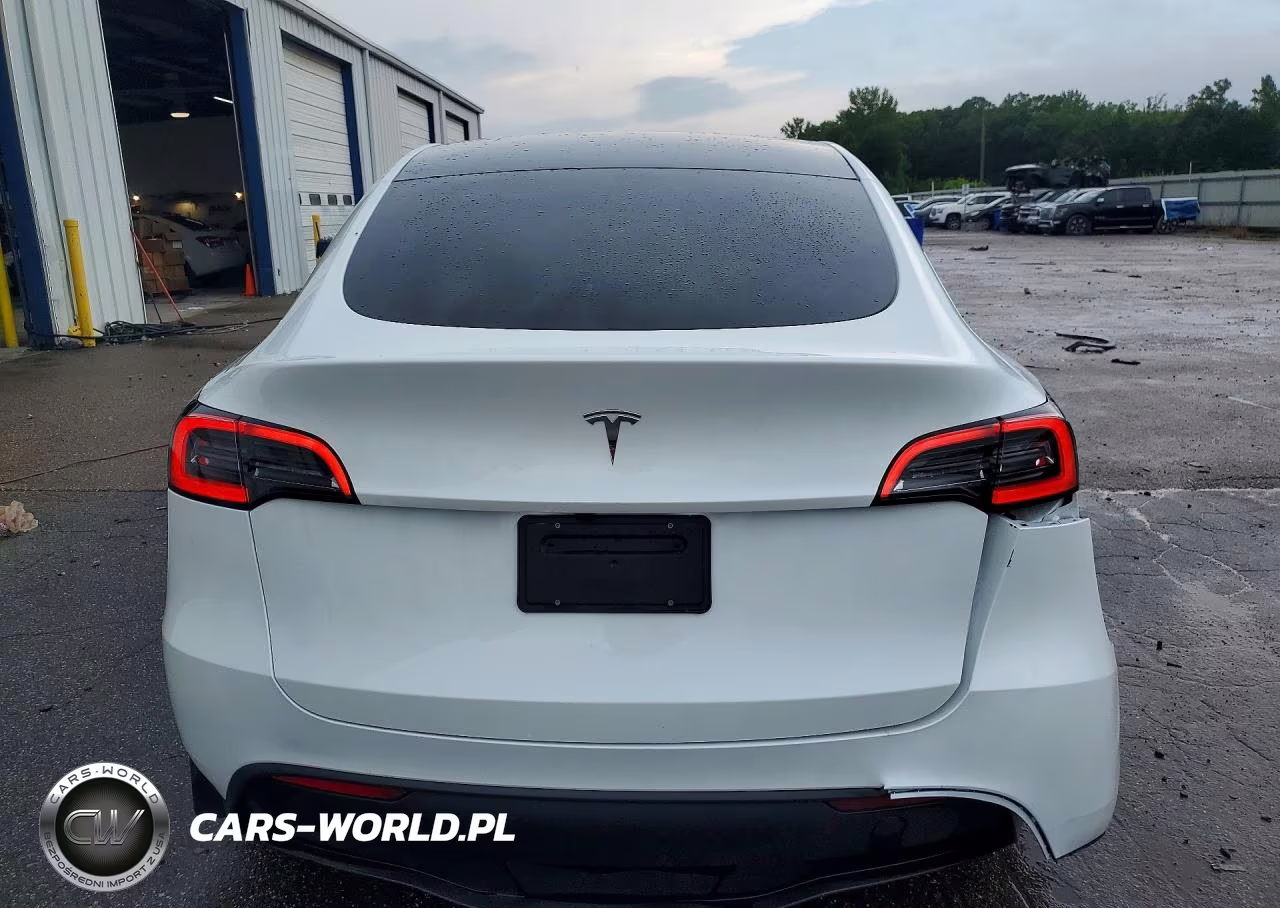 2025 Tesla Model Y VIN:7SAYGDED1SA345656 - 6