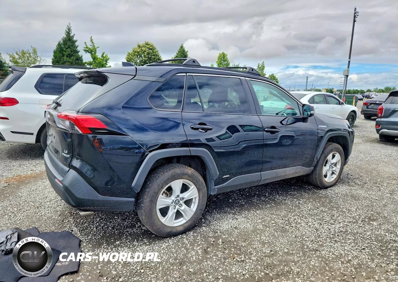 2019 Toyota Rav4 Le VIN:2T3MWRFV3KW038778 - 3
