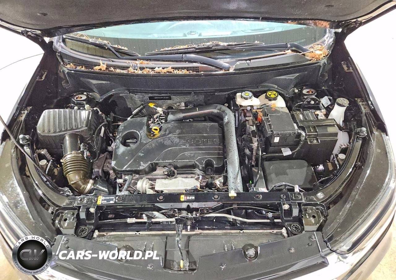 2023 Chevrolet Equinox Lt VIN:3GNAXKEG0PL251834 - 12