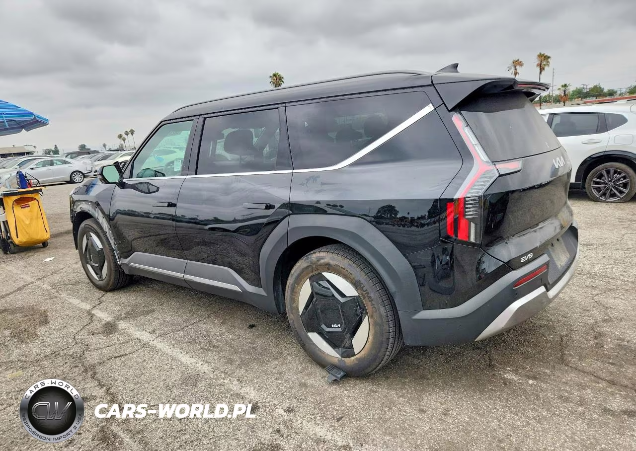 2024 Kia Ev9 Wind VIN:KNDAFFS57R6018973 - 2
