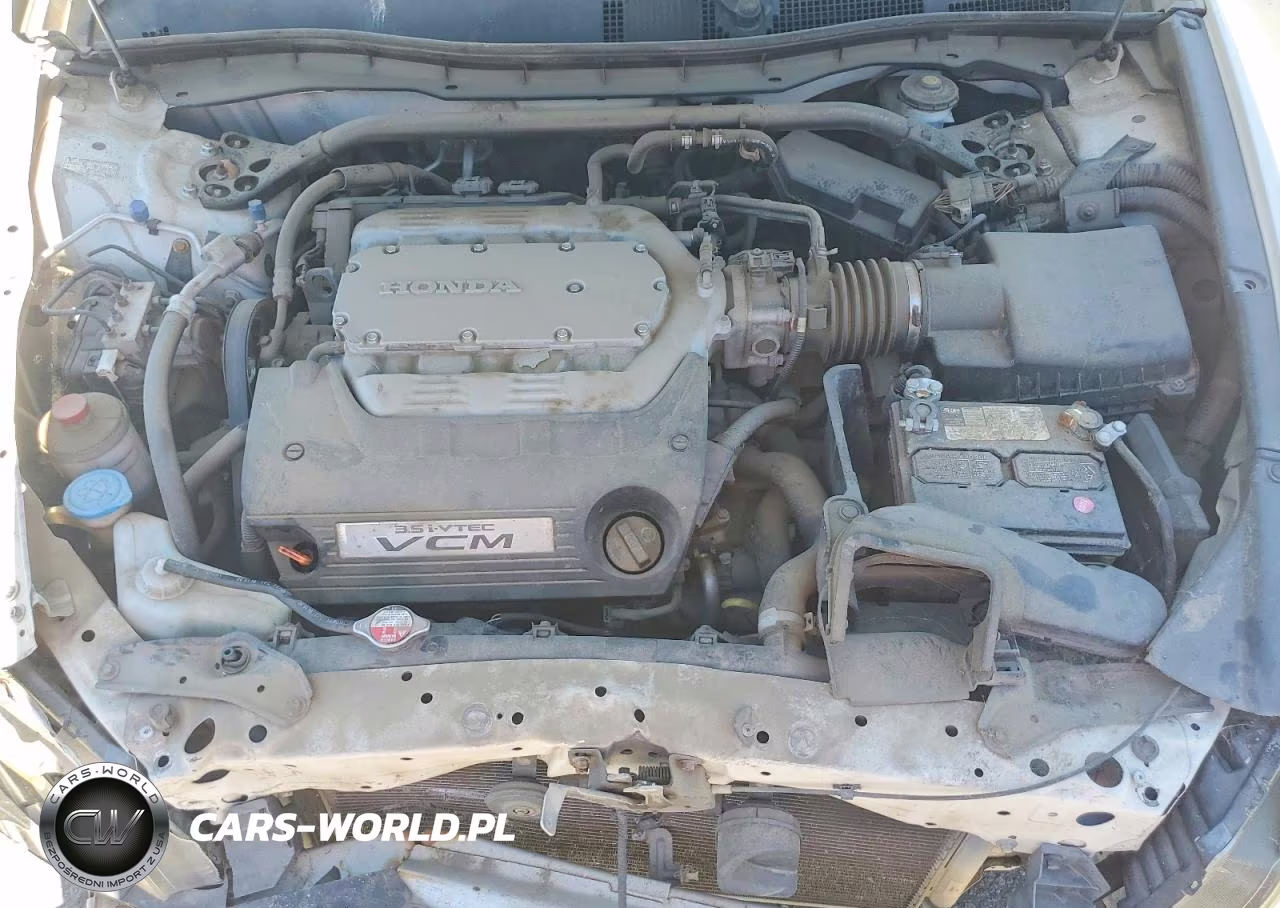 2010 Honda Accord Exl VIN:1HGCS2B80AA009316 - 11