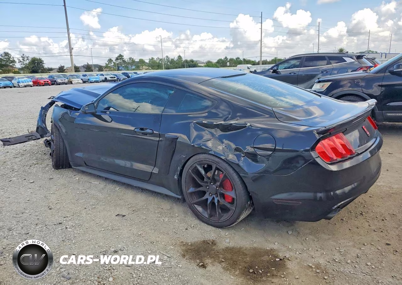 2015 Ford Mustang VIN:1FA6P8AM8F5305043 - 2