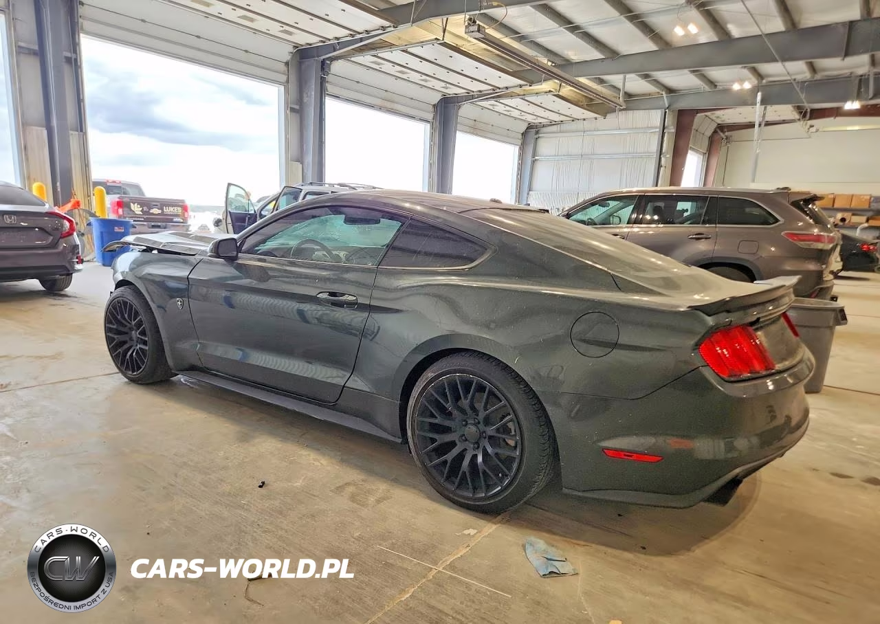 2015 Ford Mustang Ecoboost VIN:1FA6P8TH9F5305424 - 2