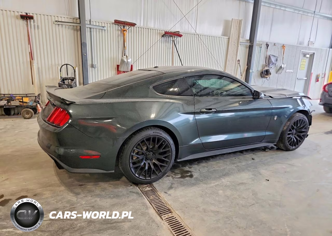 2015 Ford Mustang Ecoboost VIN:1FA6P8TH9F5305424 - 3