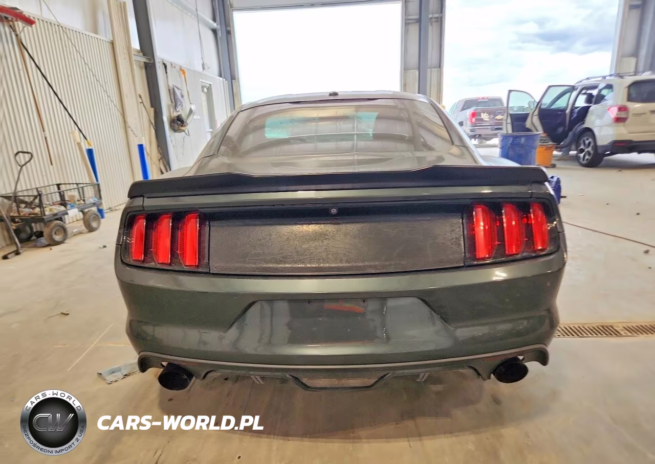 2015 Ford Mustang Ecoboost VIN:1FA6P8TH9F5305424 - 6