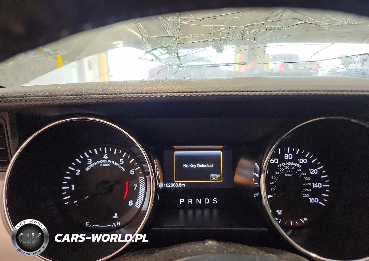 2015 Ford Mustang Ecoboost VIN:1FA6P8TH9F5305424 - 9