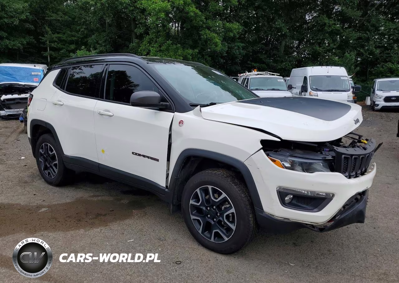 2019 Jeep Compass Trailhawk VIN:3C4NJDDB9KT594860 - 4