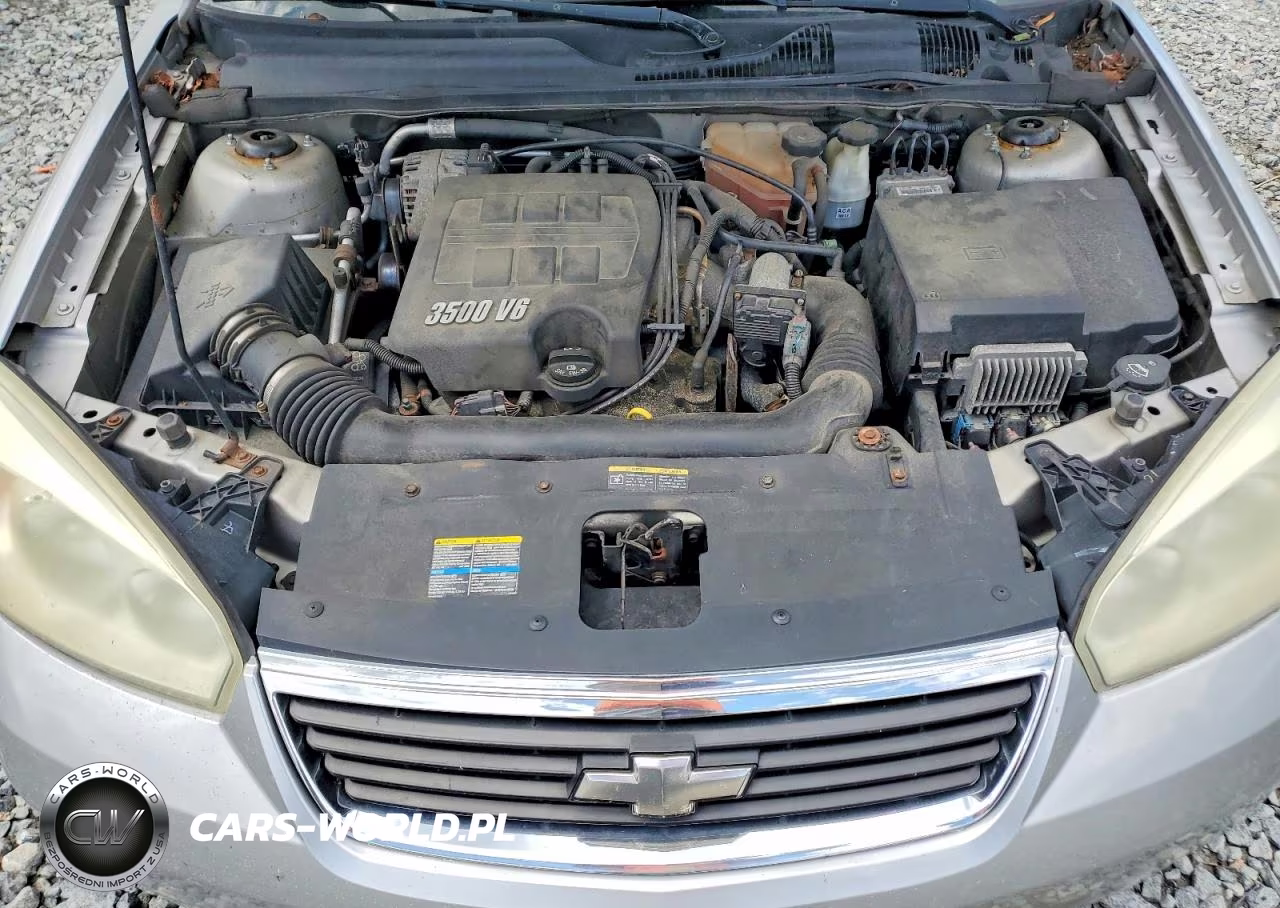 2006 Chevrolet Malibu Lt VIN:1G1ZT53806F140772 - 11