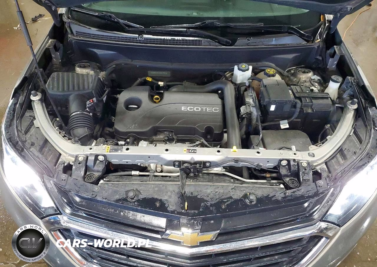 2019 Chevrolet Equinox Lt VIN:3GNAXKEVXKS511931 - 11
