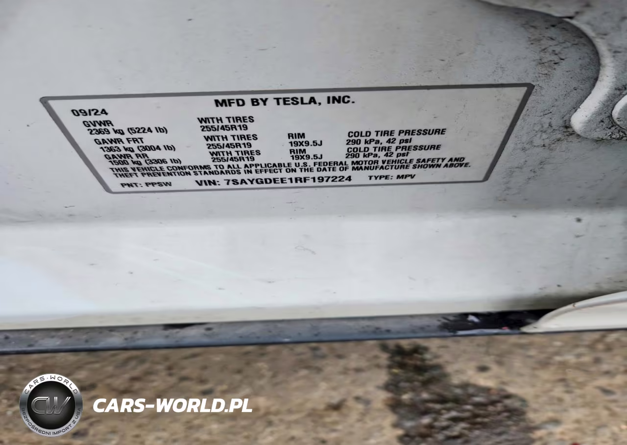 2024 Tesla Model Y VIN:7SAYGDEE1RF197224 - 12