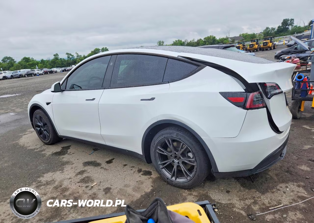 2024 Tesla Model Y VIN:7SAYGDEE1RF197224 - 2