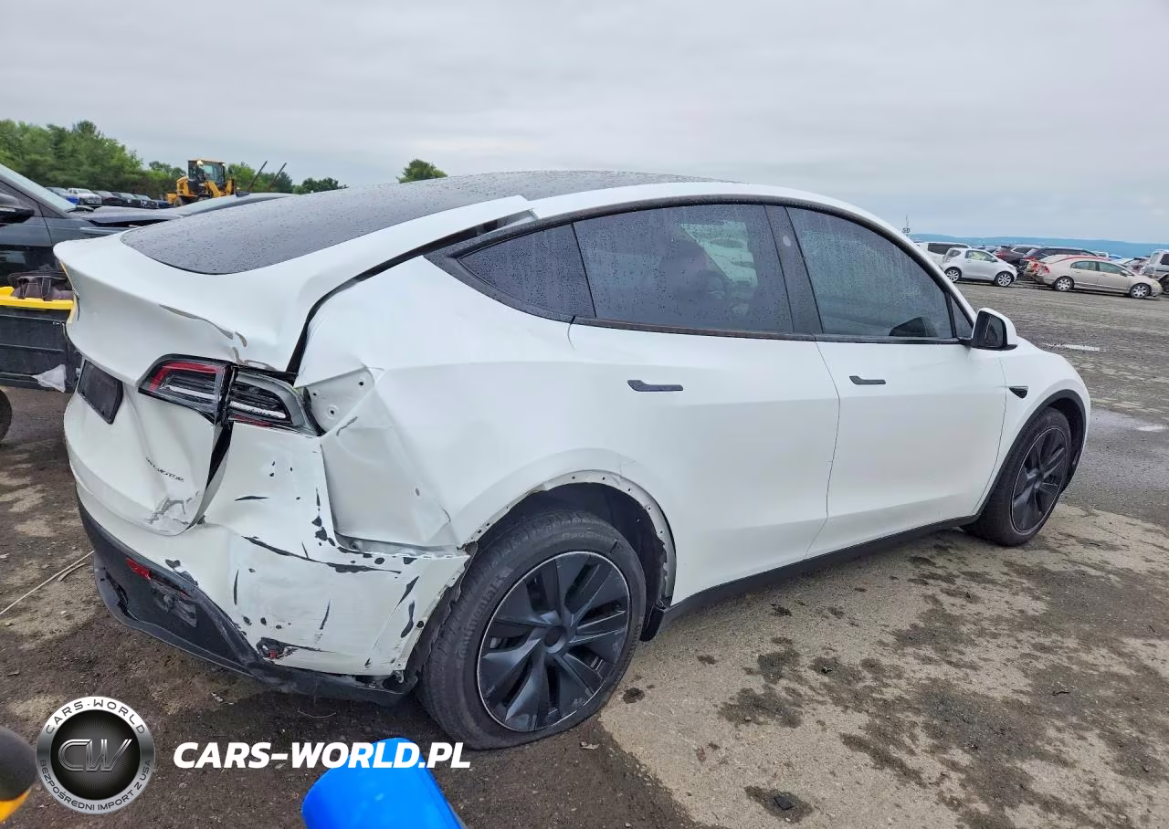 2024 Tesla Model Y VIN:7SAYGDEE1RF197224 - 3